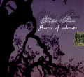 Violet Tears: Breeze of Solitude