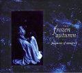 The Frozen Autumn: Fragments of Memories
