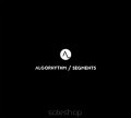 Algorhythm: Segments
