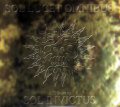 Sol Lucet Omnibus: A Tribute to Sol Invictus��(2CD)